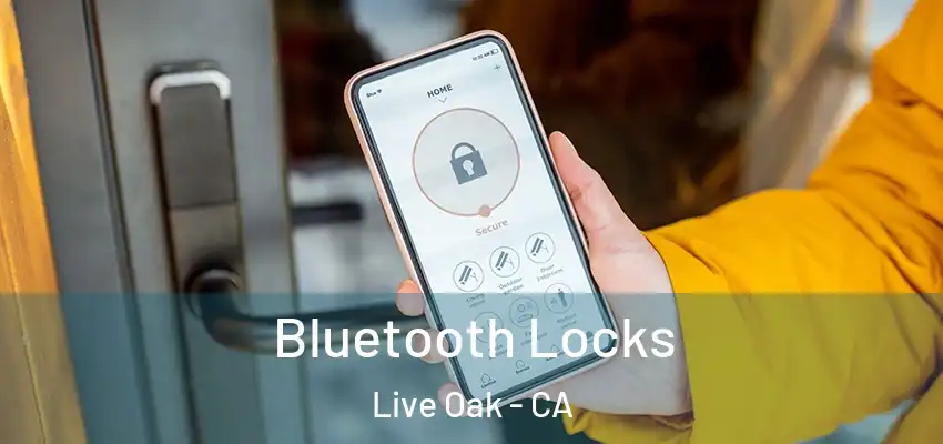 Bluetooth Locks Live Oak - CA