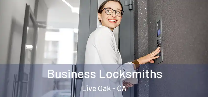 Business Locksmiths Live Oak - CA