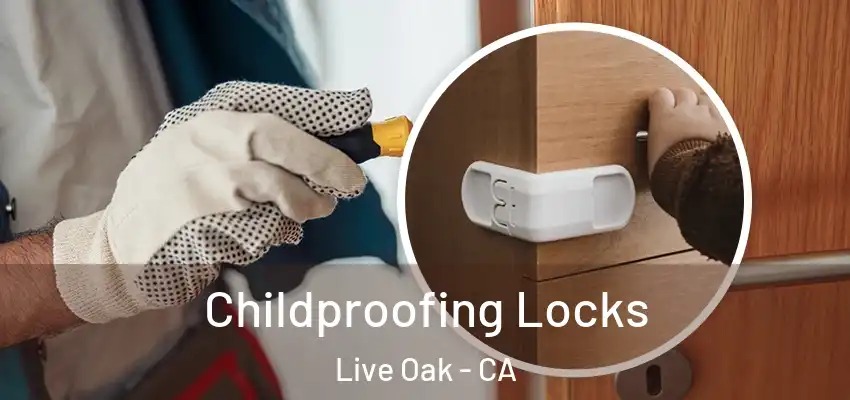 Childproofing Locks Live Oak - CA