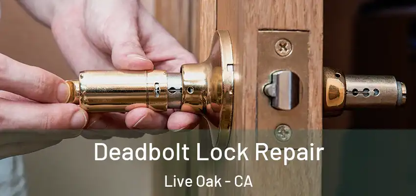 Deadbolt Lock Repair Live Oak - CA