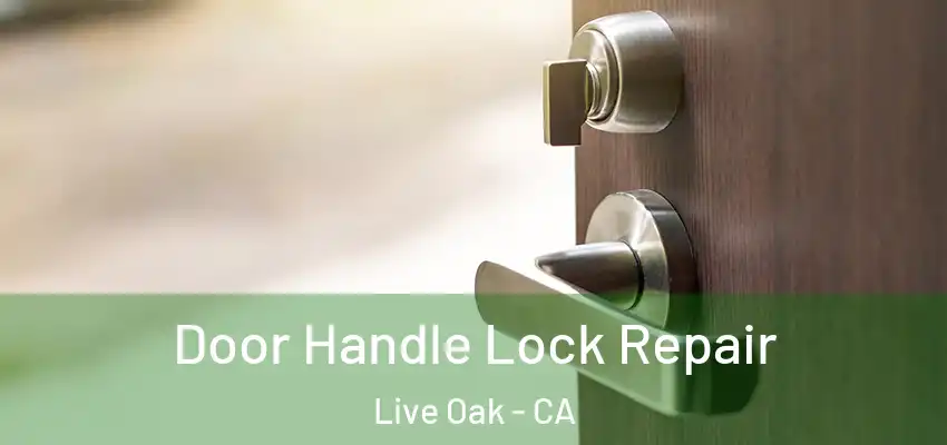  Door Handle Lock Repair Live Oak - CA
