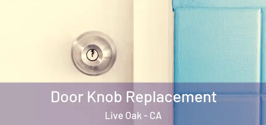 Door Knob Replacement Live Oak - CA