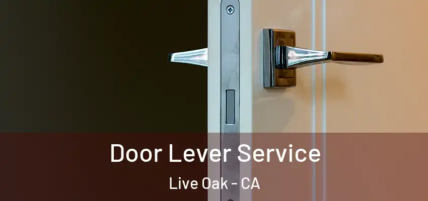  Door Lever Service Live Oak - CA
