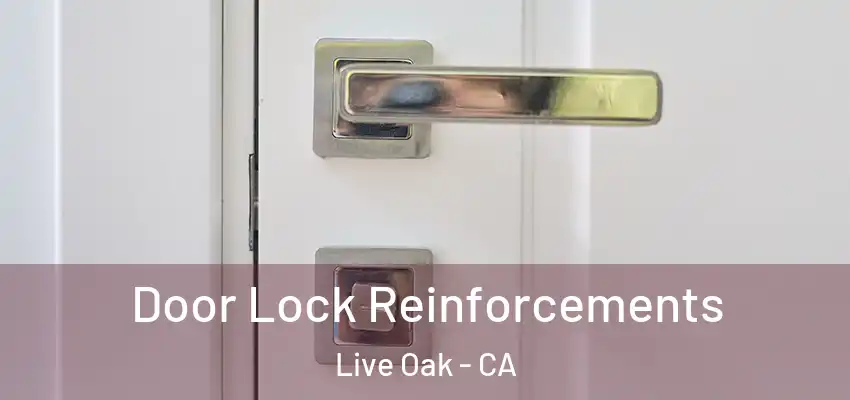Door Lock Reinforcements Live Oak - CA