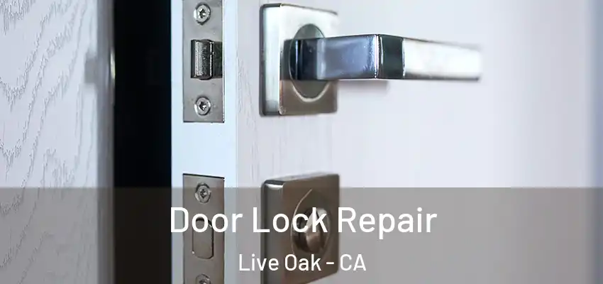 Door Lock Repair Live Oak - CA