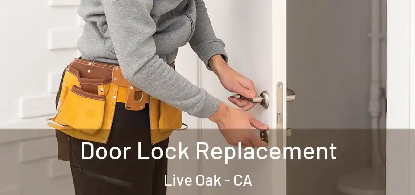  Door Lock Replacement Live Oak - CA