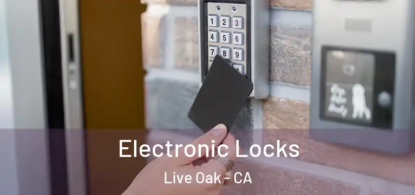 Electronic Locks Live Oak - CA