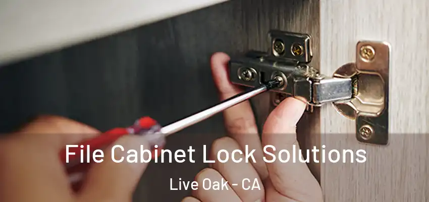  File Cabinet Lock Solutions Live Oak - CA