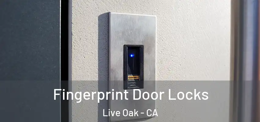 Fingerprint Door Locks Live Oak - CA