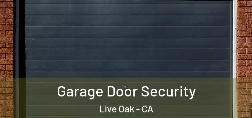 Garage Door Security Live Oak - CA