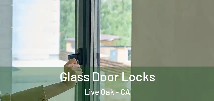 Glass Door Locks Live Oak - CA