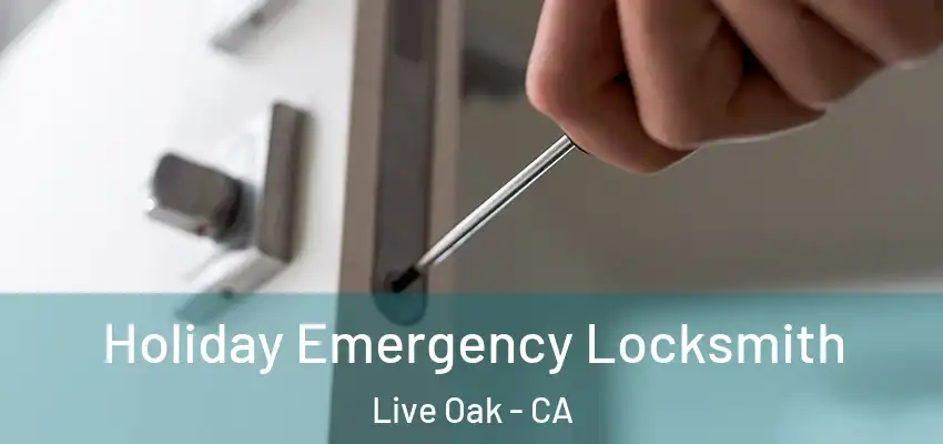 Holiday Emergency Locksmith Live Oak - CA