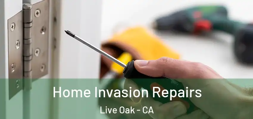  Home Invasion Repairs Live Oak - CA