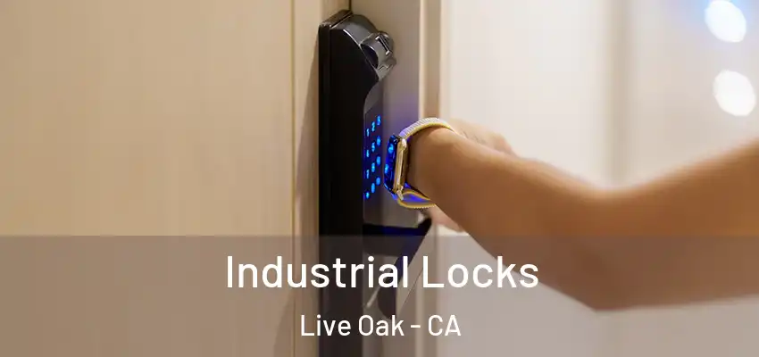  Industrial Locks Live Oak - CA
