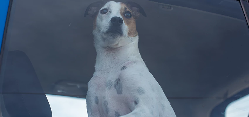 Car Lockout Solutions in Live Oak, California