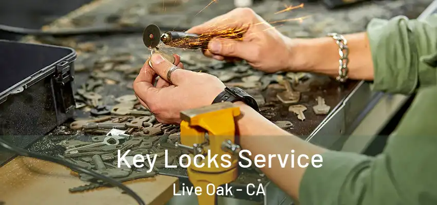 Key Locks Service Live Oak - CA