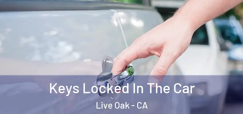  Keys Locked In The Car Live Oak - CA