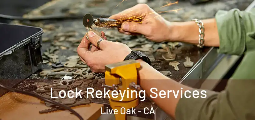Lock Rekeying Services Live Oak - CA
