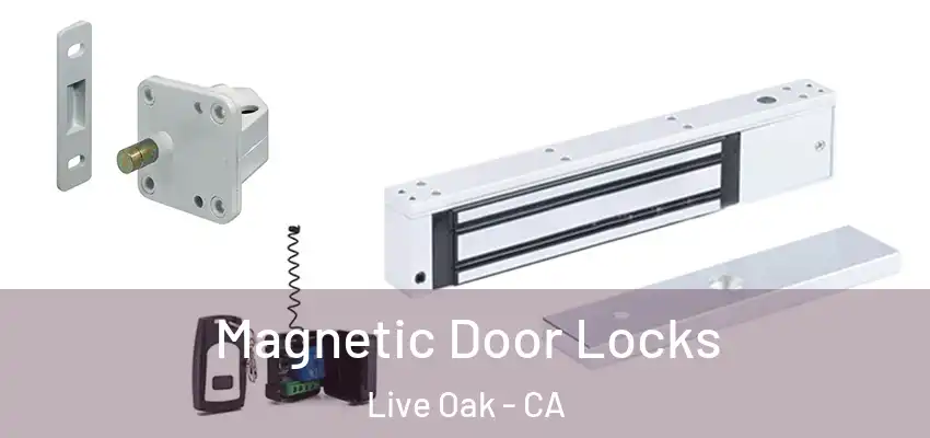 Magnetic Door Locks Live Oak - CA