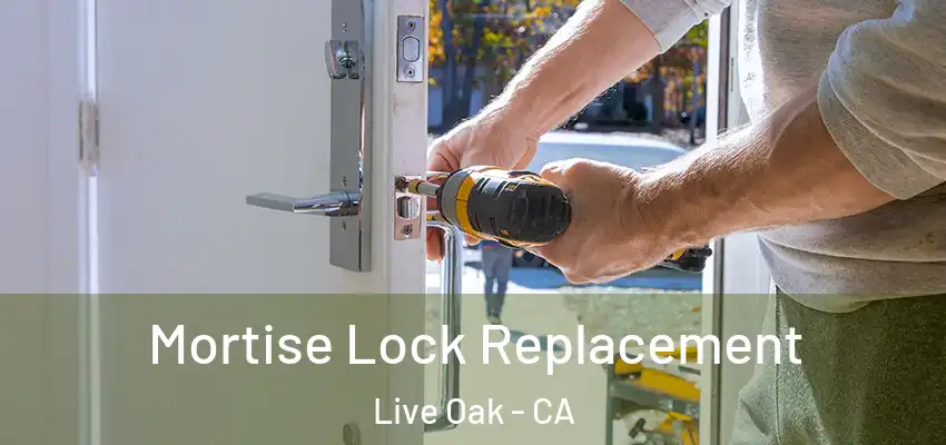  Mortise Lock Replacement Live Oak - CA