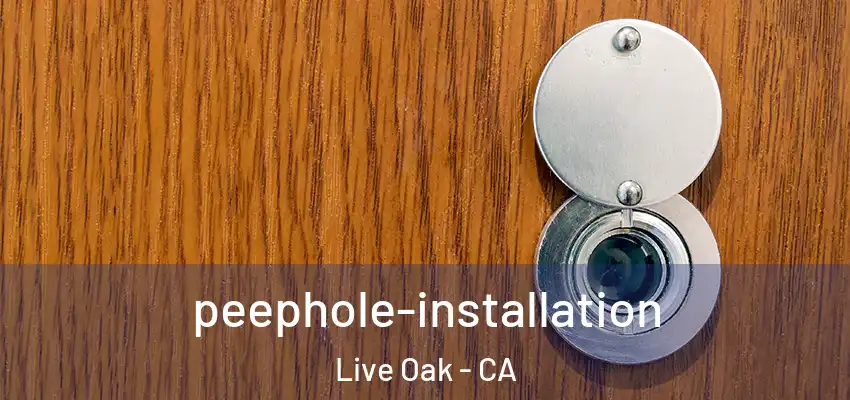  peephole-installation Live Oak - CA