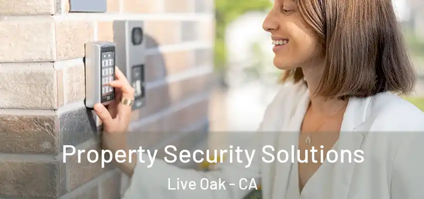  Property Security Solutions Live Oak - CA