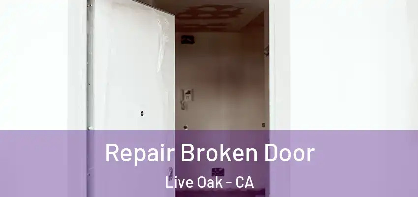 Repair Broken Door Live Oak - CA