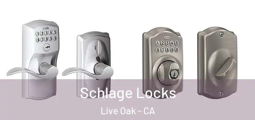  Schlage Locks Live Oak - CA