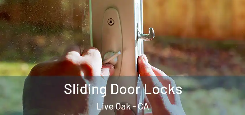  Sliding Door Locks Live Oak - CA