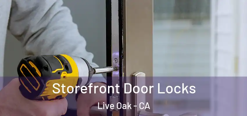  Storefront Door Locks Live Oak - CA