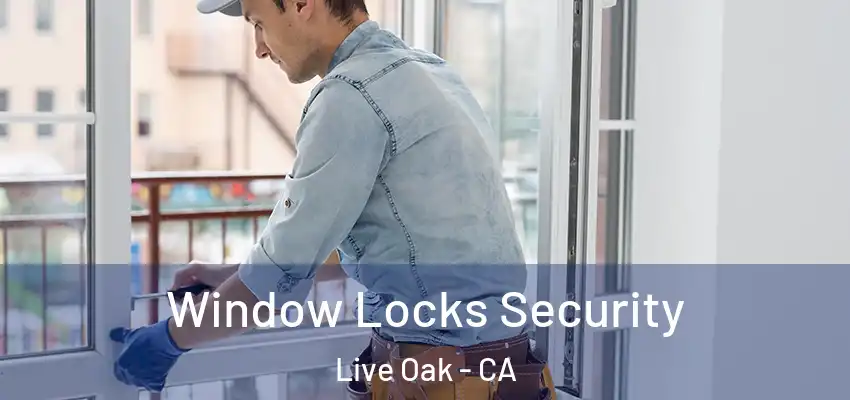 Window Locks Security Live Oak - CA