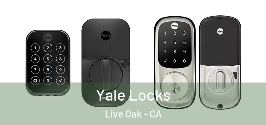 Yale Locks Live Oak - CA